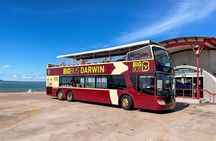 Big Bus tour of Darwin