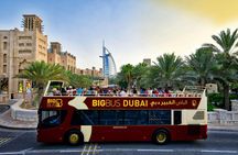 Big Bus tour of Dubai