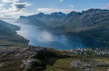 Kvaløya and Sommarøy Fjord tour from Tromsø with lunch