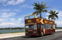 Big Bus tour of Miami