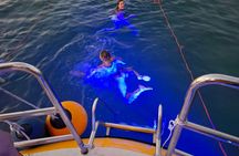 Semi Submarine sunset cruise with unlimited wine and beer