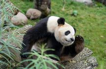 Copenhagen Zoo skip-the-line ticket with audio city tour and 1GB eSIM