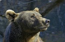 Copenhagen Zoo skip-the-line ticket with audio city tour and 1GB eSIM