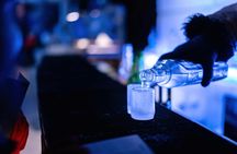 Berlin Icebar and 24 hour hop-on hop-off bus ticket