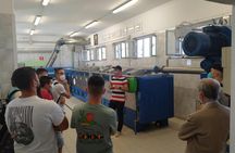 Oil mill tour and tasting experience in Abruzzo