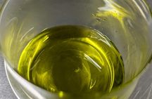 Oil mill tour and tasting experience in Abruzzo