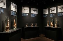 Phallological Museum ticket with Reykjavík audio guide and eSIM