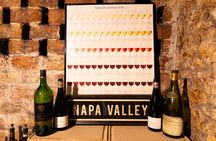 Vintage wine tasting with an oenology expert in Paris