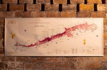 Vintage wine tasting with an oenology expert in Paris