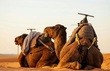Agafay desert private sunset camel ride from Marrakech