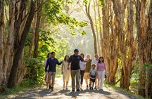 Gold Coast full-day adventure with wildlife spotting and lunch