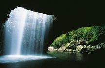 Gold Coast full-day adventure with wildlife spotting and lunch