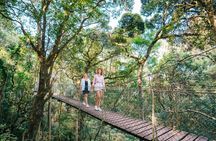 Lamington National Park, O'Reilly's and vineyard tour