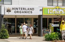 Guided rainforest tour on Tamborine Mountain and produce tastings