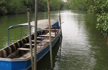 Pranburi River private cruise mangrove walk with hotel pick-up