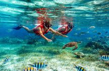 Snorkelling Adventure in Marine National Park with Beachside Lunch