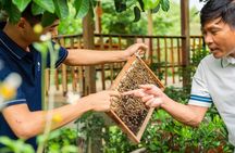 Mekong Delta day tour from Ho Chi Minh City by limousine van
