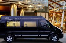 Mekong Delta day tour from Ho Chi Minh City by limousine van