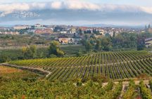 La Rioja wine tour and Laguardia from San Sebastián