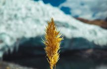 Pastoruri Glacier full-day tour from Huaraz with Andean lakes