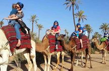 Palmeraie camel ride from Marrakech with tea break