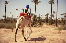 Palmeraie camel ride from Marrakech with tea break