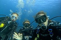 First-time scuba dive at Isla del Fraile from Águilas