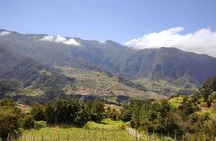 Northwest Madeira 4x4 Tour with Laurisilva Forest and Lunch