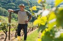 Romantic Road day trip with wine tasting from Würzburg