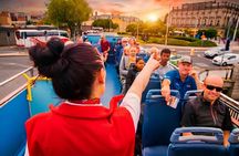 Evening panoramic bus tour of Dublin with a live guide