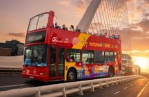 Evening panoramic bus tour of Dublin with a live guide