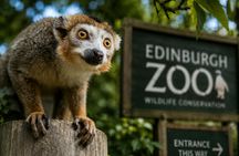 Edinburgh Zoo entrance ticket included eSIM