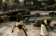 Edinburgh Zoo entrance ticket included eSIM