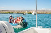 Full-day yacht trip to Santa Fe, Bartolome or Seymour North