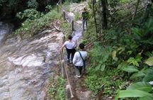 Mae Kham Pong Village guided excursion in Chiang Mai