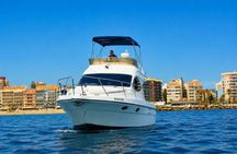 Dolphin watching on a luxury shared yacht with drink