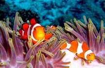 Full-day Rok and Haa Islands tour by speedboat