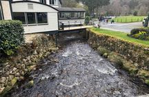 Wicklow Mountains and Dublin highlights guided tour