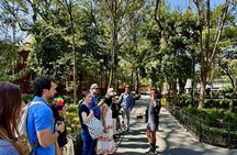 Coyoacán street tacos food tour with Chef Abel Hernandez