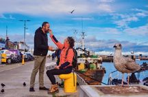 Half-day Howth coastal guided tour from Dublin