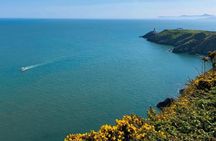 Half-day Howth coastal guided tour from Dublin