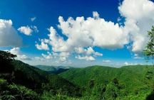 Full-day Khao Yai National Park guided tour from Bangkok