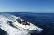 Gran Canaria small-group boat trip from Pasito Blanco