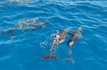 Gran Canaria small-group boat trip from Pasito Blanco