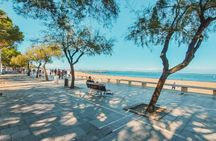 Small-group tour of Arcachon Bay with Dune du Pilat from Bordeaux