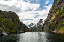 Three-hour Trollfjord and Raftsundet cruise from Svolvær