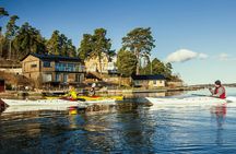 Stockholm Archipelago winter kayak tour with Swedish fika and sauna
