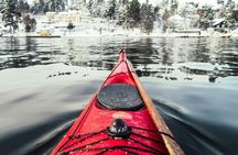 Stockholm Archipelago winter kayak tour with Swedish fika and sauna