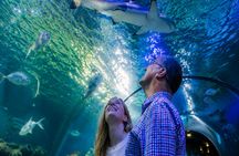 SEA LIFE Loch Lomond ticket with 1GB eSIM
