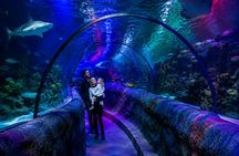 SEA LIFE Loch Lomond ticket with 1GB eSIM